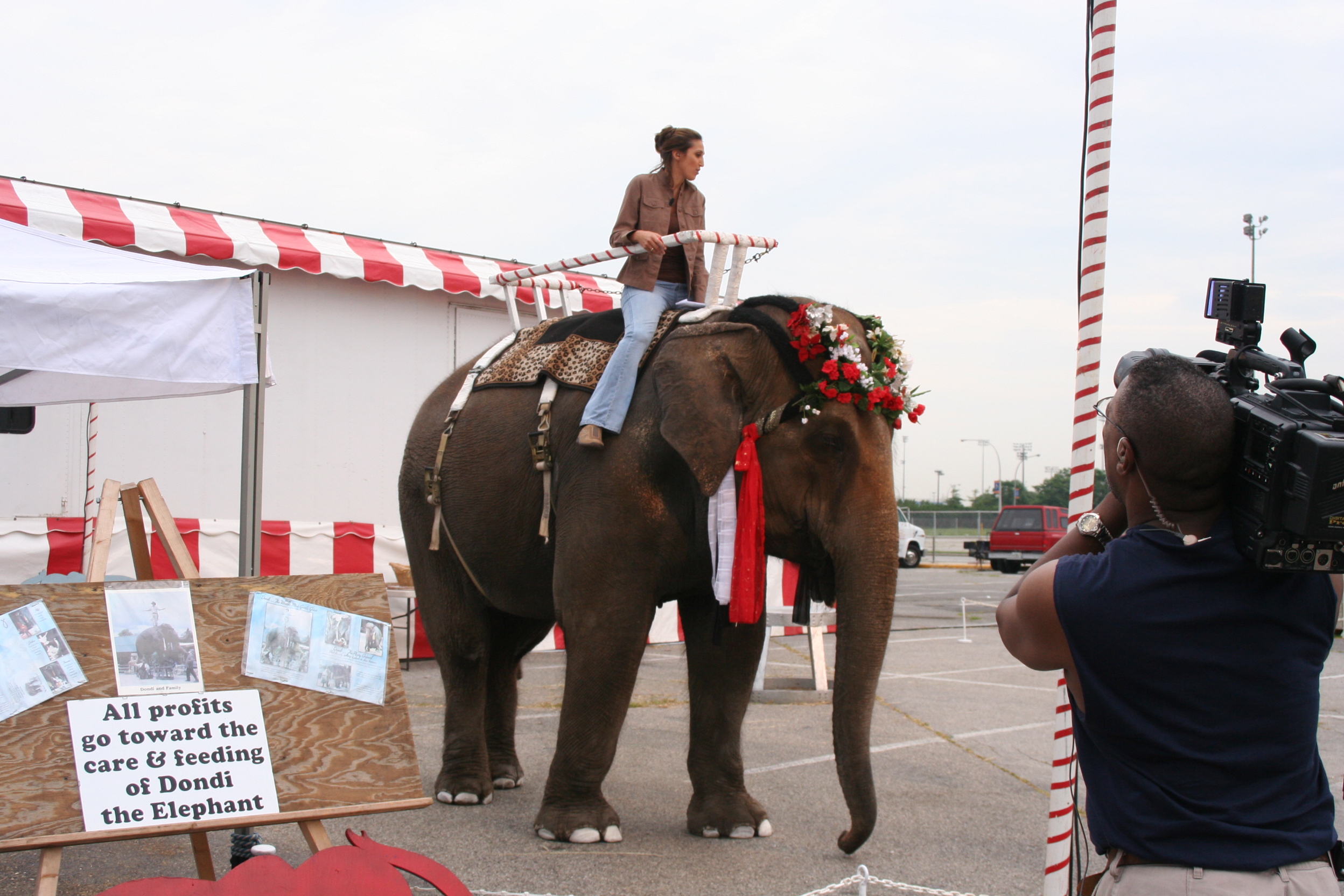 Dondi the Elephant during an event at the Nassau Coliseum.